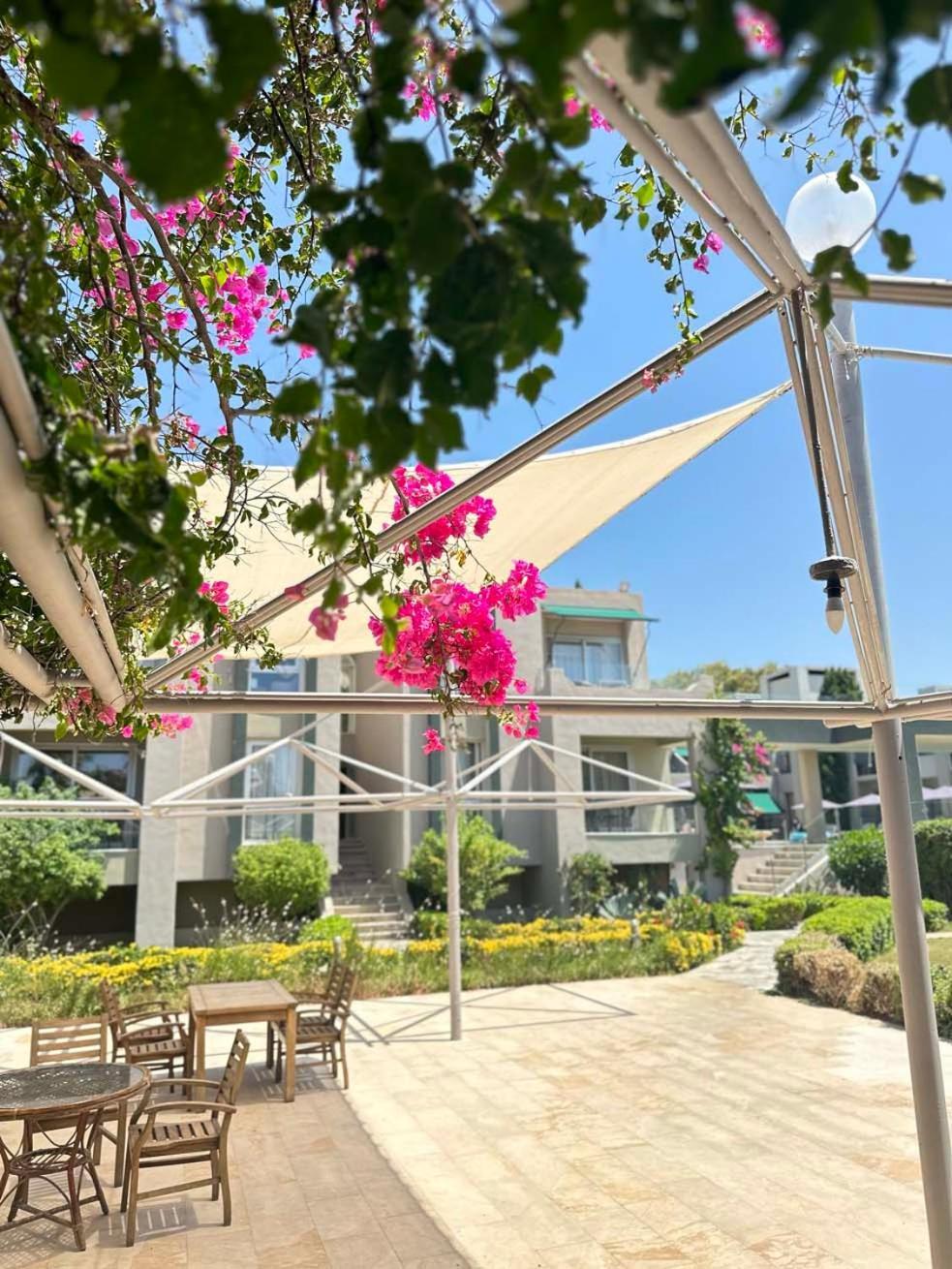 Ambrosia Hotel Beach & Spa Bitez Bagian luar foto